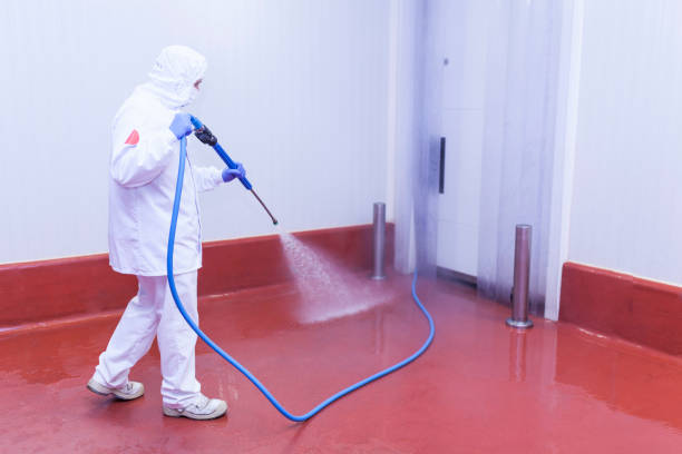 Best Roof Washing  in Coto De Za, CA